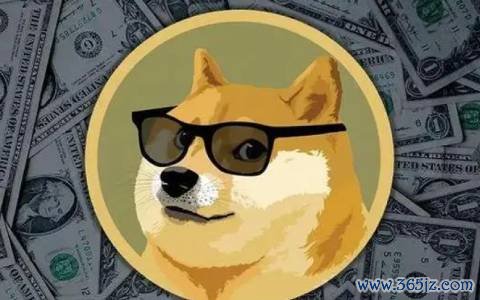 什么叫货币数字_什么是数字货币?入门指南_货币数字是什么性质有风险没有