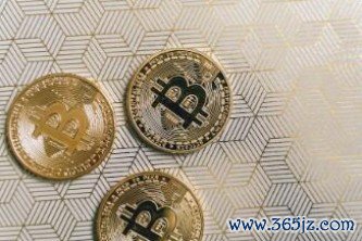 FZC币 发展链是什么?发展链、官网和团队