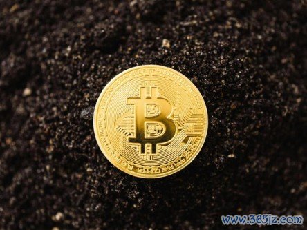 比特币购入_比特币购买风险_以下是在美国首次考虑购买比特币时需要考虑的五个因素